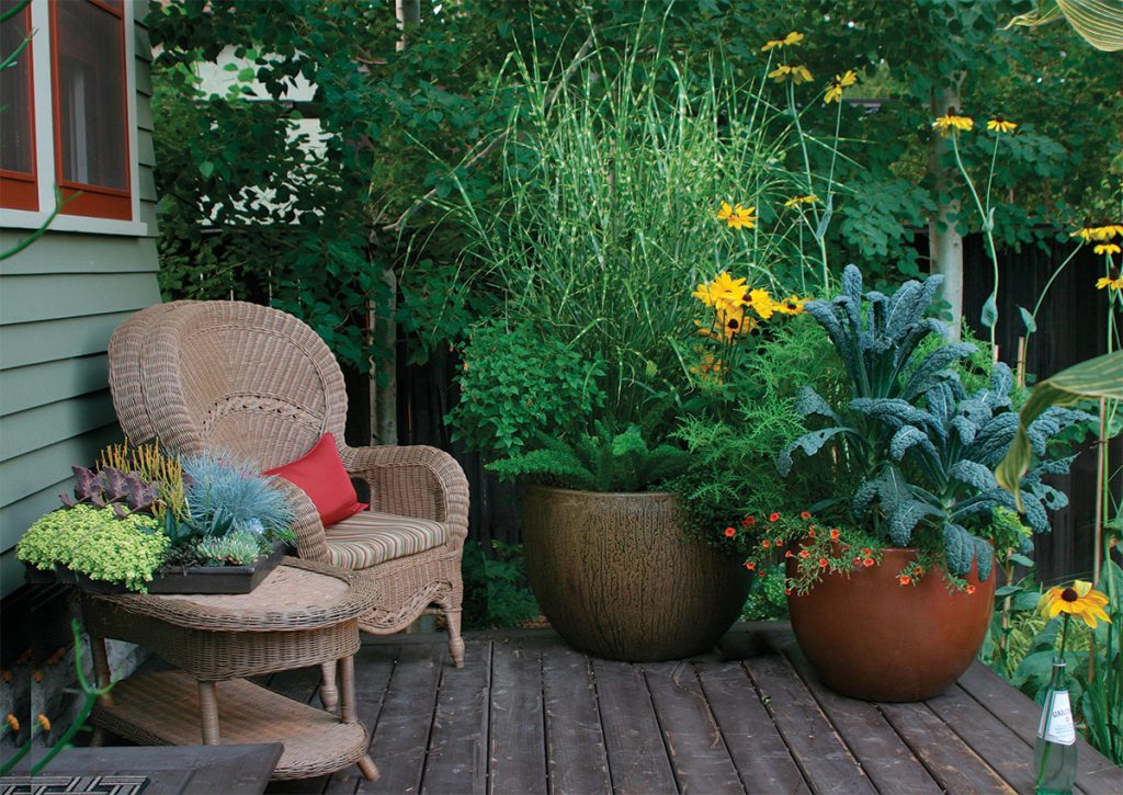 Backyard patio with large decorative planters and potted plants replacing grass.