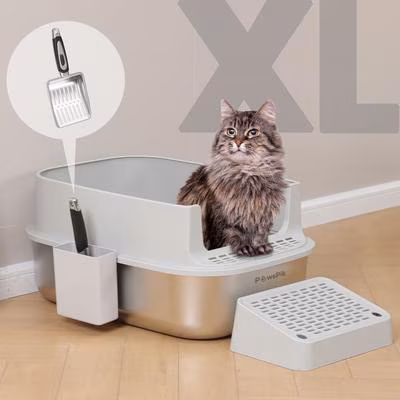chewy shipping cat litter box