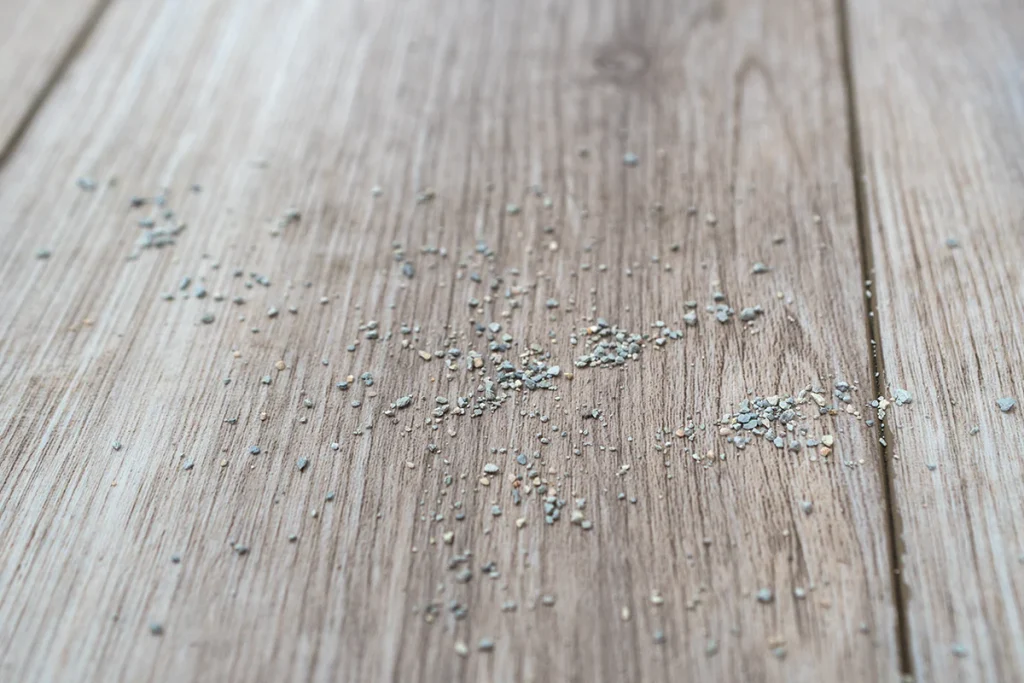 Close-up of bentonite clay cat litter granules