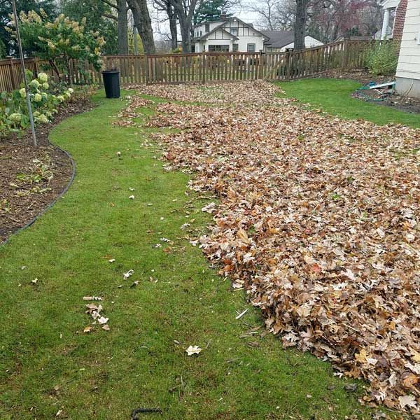 Seasonal backyard maintenance tasks in no-grass yard.