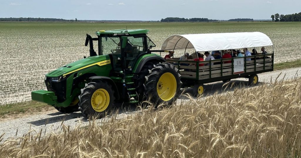 Affordable farmland in Arkansas used for agriculture and farming