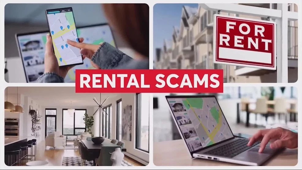 Renter checking apartment listing carefully to avoid rental scams