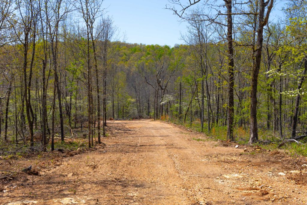 Scenic rural Arkansas land showing affordable open space and natural beauty
