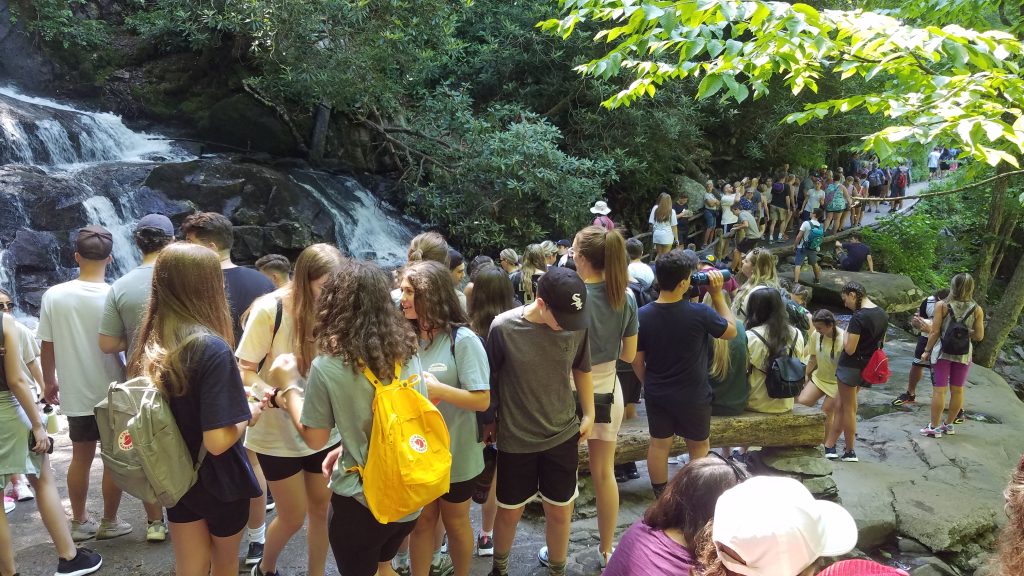 Scenic waterfall in the Great Smoky Mountains surrounded by lush forest
