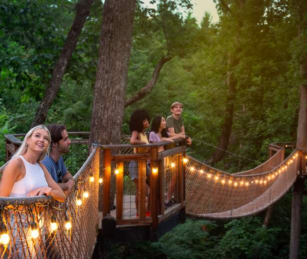 Travelers enjoying a scenic Smoky Mountains overlook near Pigeon Forge