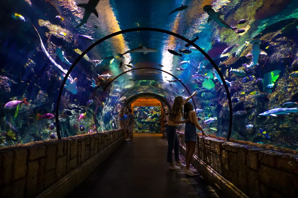 Visitors walking through underwater tunnel at Shark Reef Aquarium Mandalay Bay Las Vegas